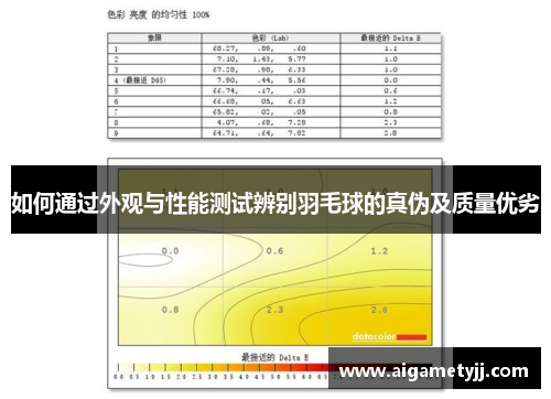 如何通过外观与性能测试辨别羽毛球的真伪及质量优劣